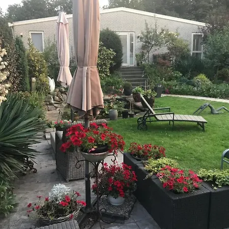 哈斯杜因住宿加早餐旅馆 招待所 4*