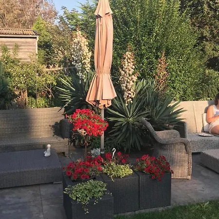 哈斯杜因住宿加早餐旅馆