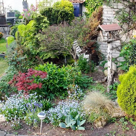 哈斯杜因住宿加早餐旅馆 滨海韦克