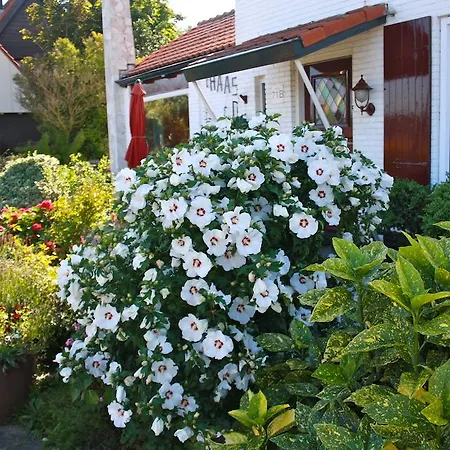 招待所 哈斯杜因住宿加早餐旅馆 4*