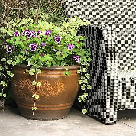 哈斯杜因住宿加早餐旅馆 招待所 滨海韦克