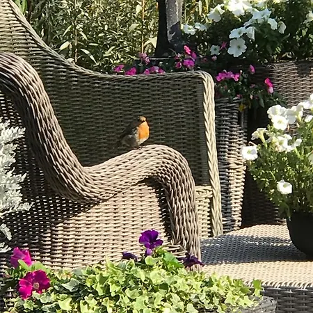 哈斯杜因住宿加早餐旅馆 招待所 滨海韦克