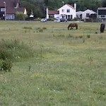 't Haasduin