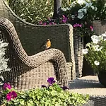 't Haasduin Guest house Wijk aan Zee