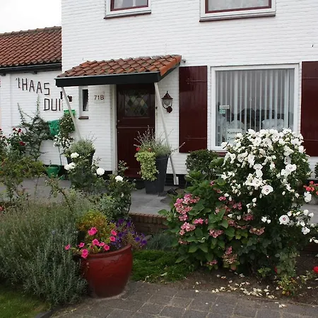 't Haasduin